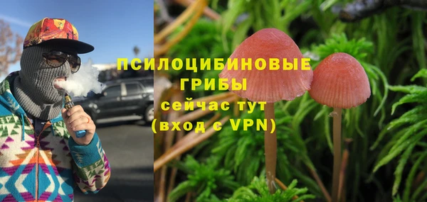 ГАЛЛЮЦИНОГЕННЫЕ ГРИБЫ Лиски